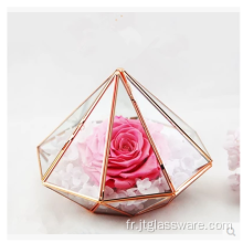 Terrarium en verre de plantes ouvertes en forme de boule du pentagone